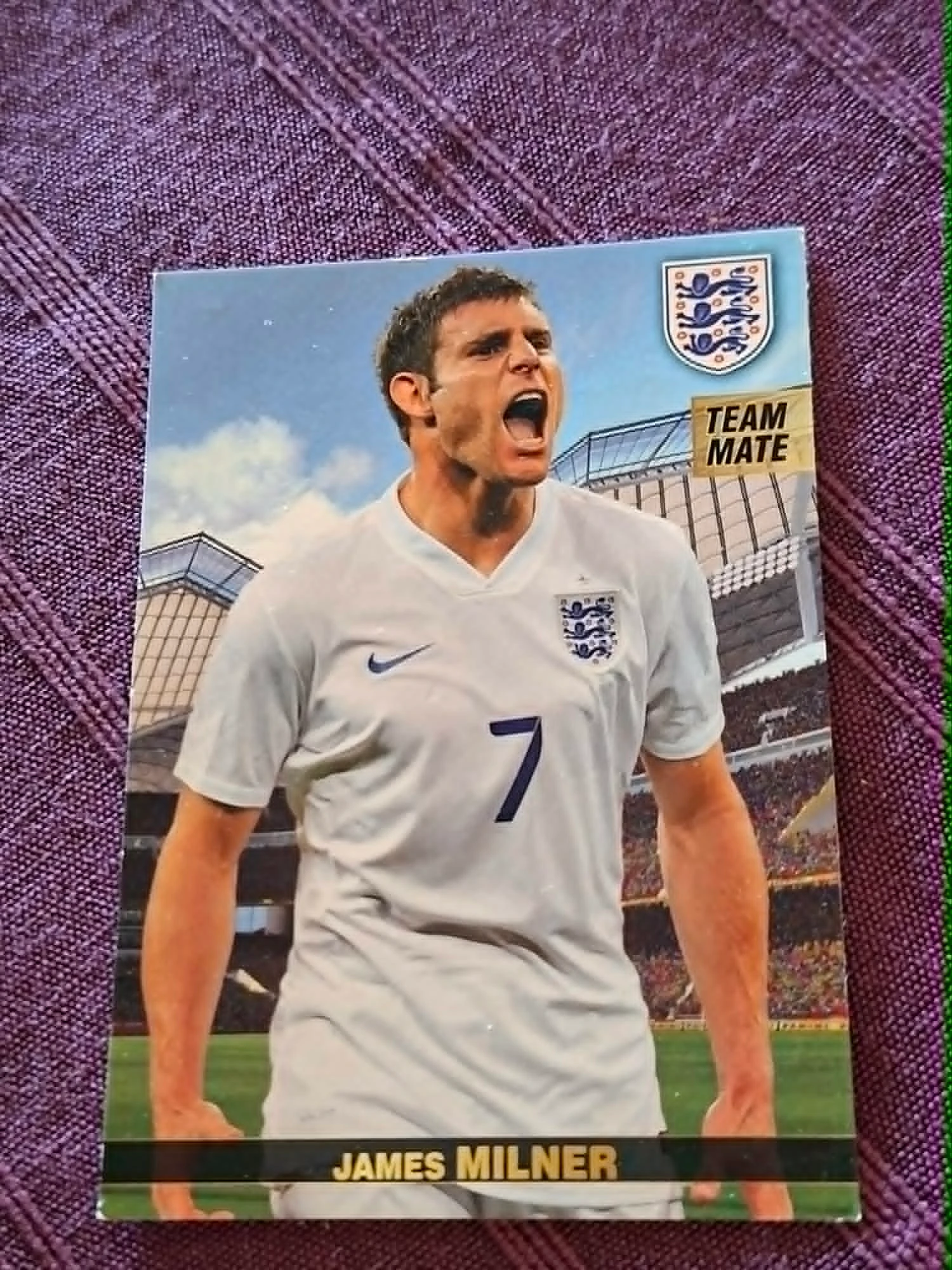 Panini / Voetbalkaart / James Milner / Engeland